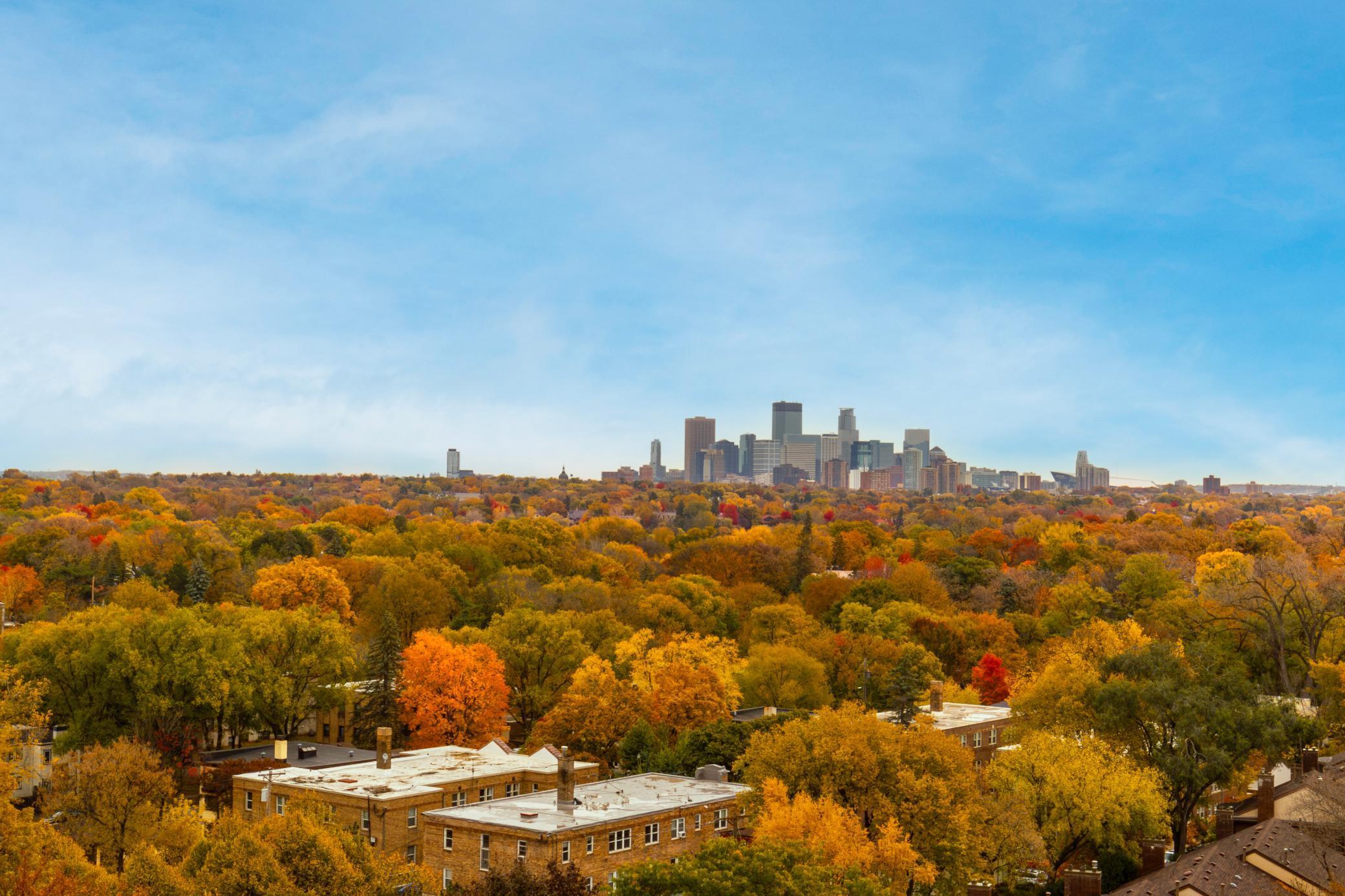 3145 Dean Court Unit: 1100