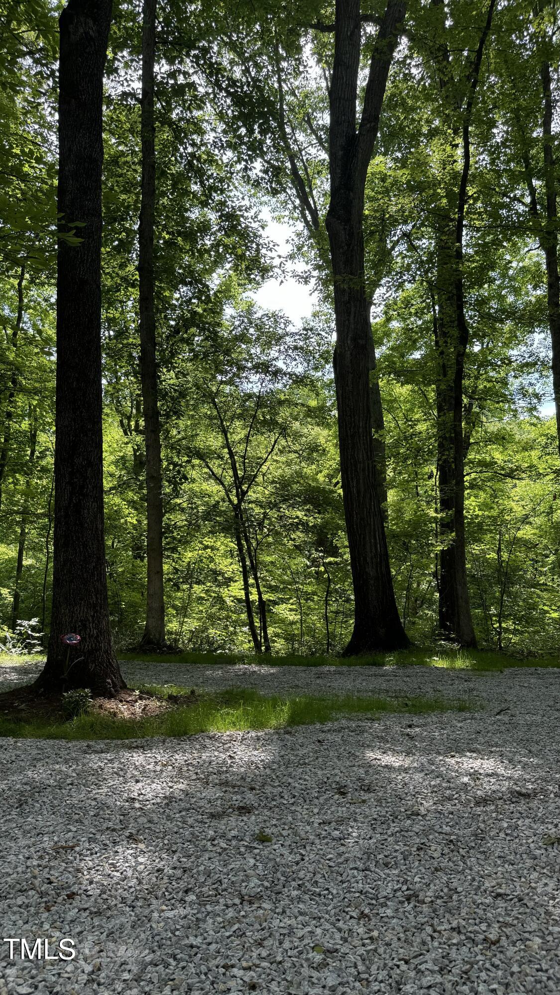 1401 Griers Church Road