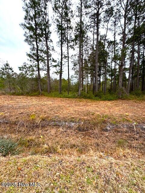 3109 Shell Point Road SW