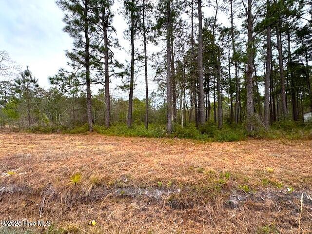 3109 Shell Point Road SW