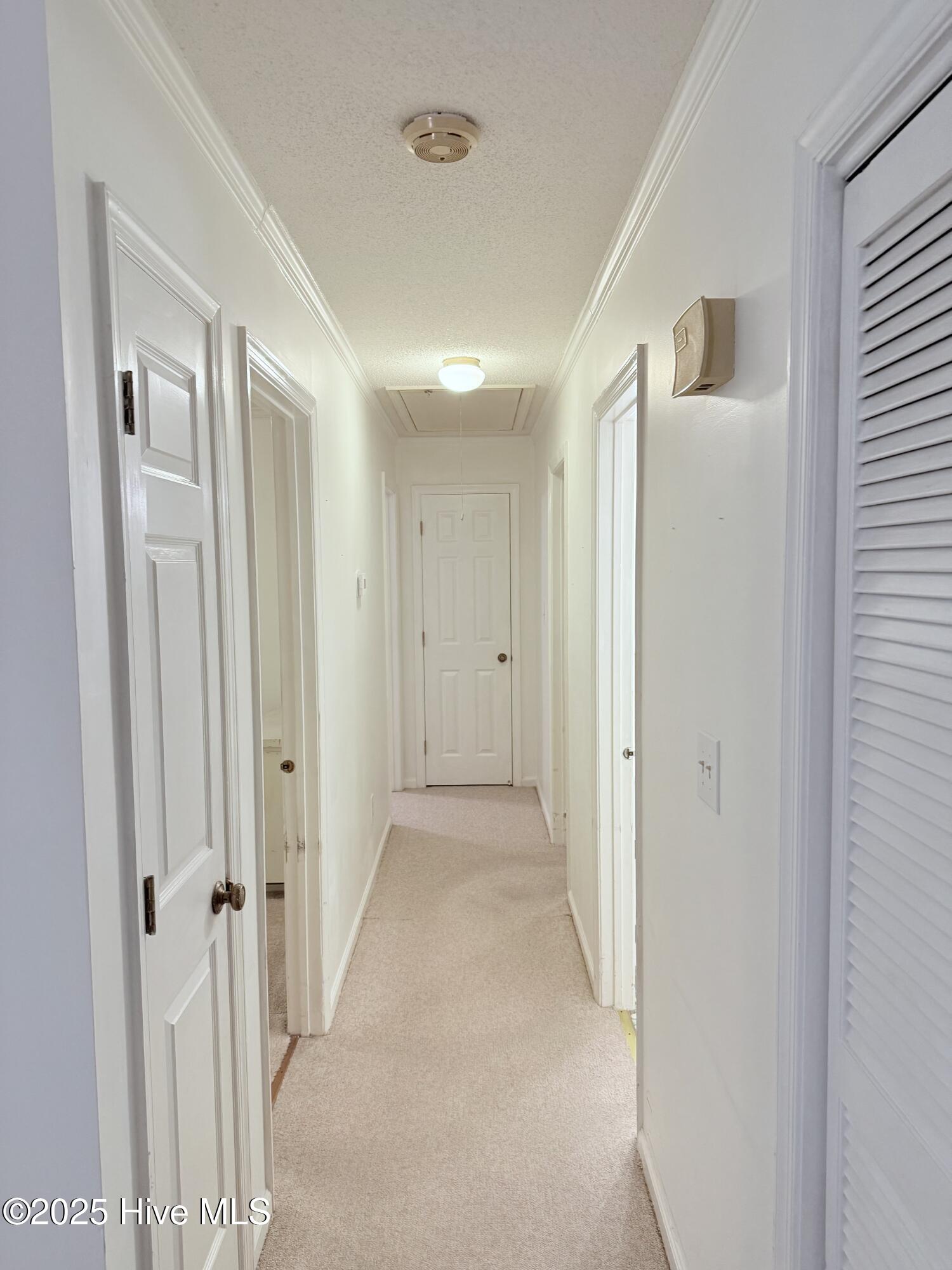 609 Malone Court
