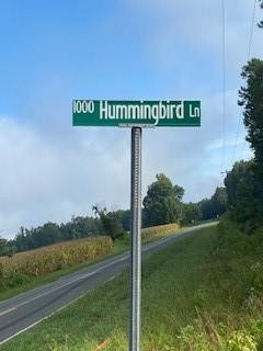 1131 Humming Bird