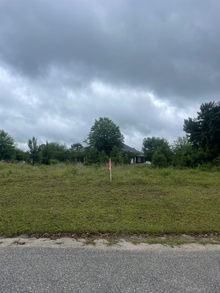 Lot 1 B 585 Constitution Drive