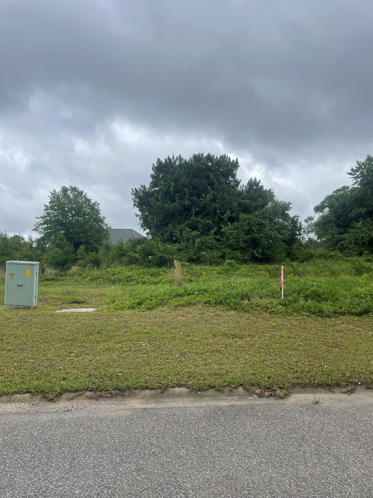 Lot 1C 579 Constitution Drive