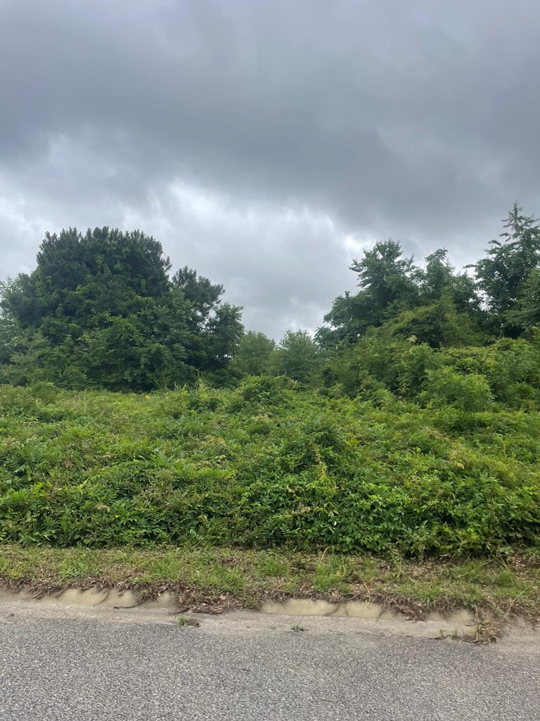 Lot 1D 575 Constitution Drive