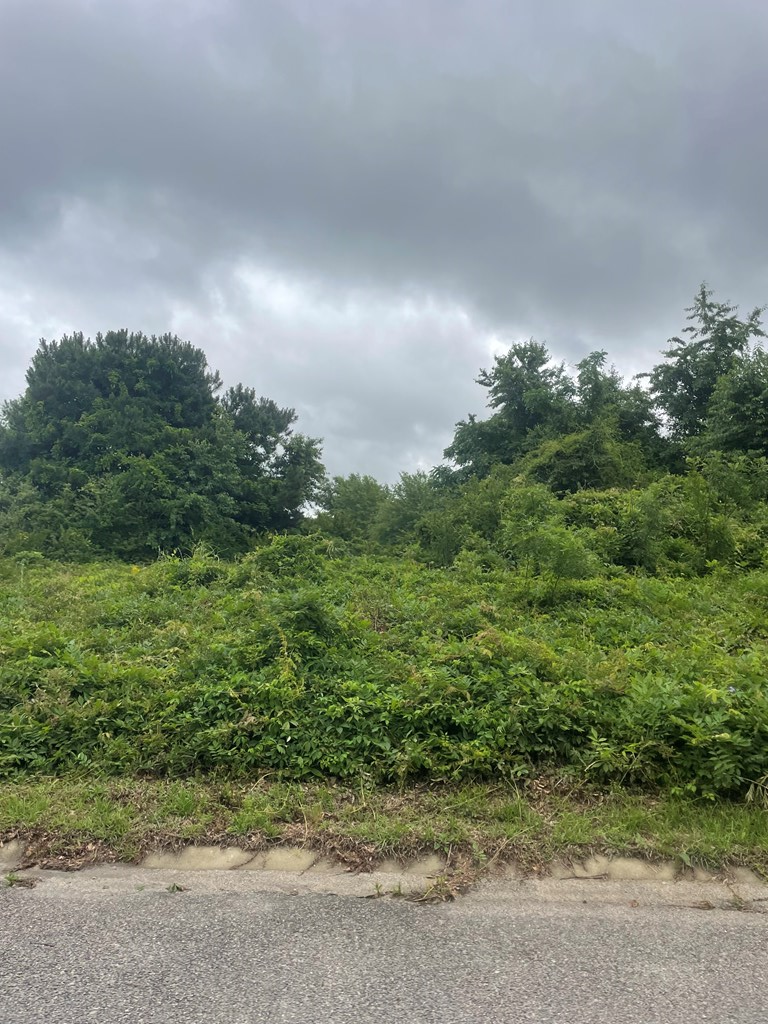 Lot 1D 575 Constitution Drive