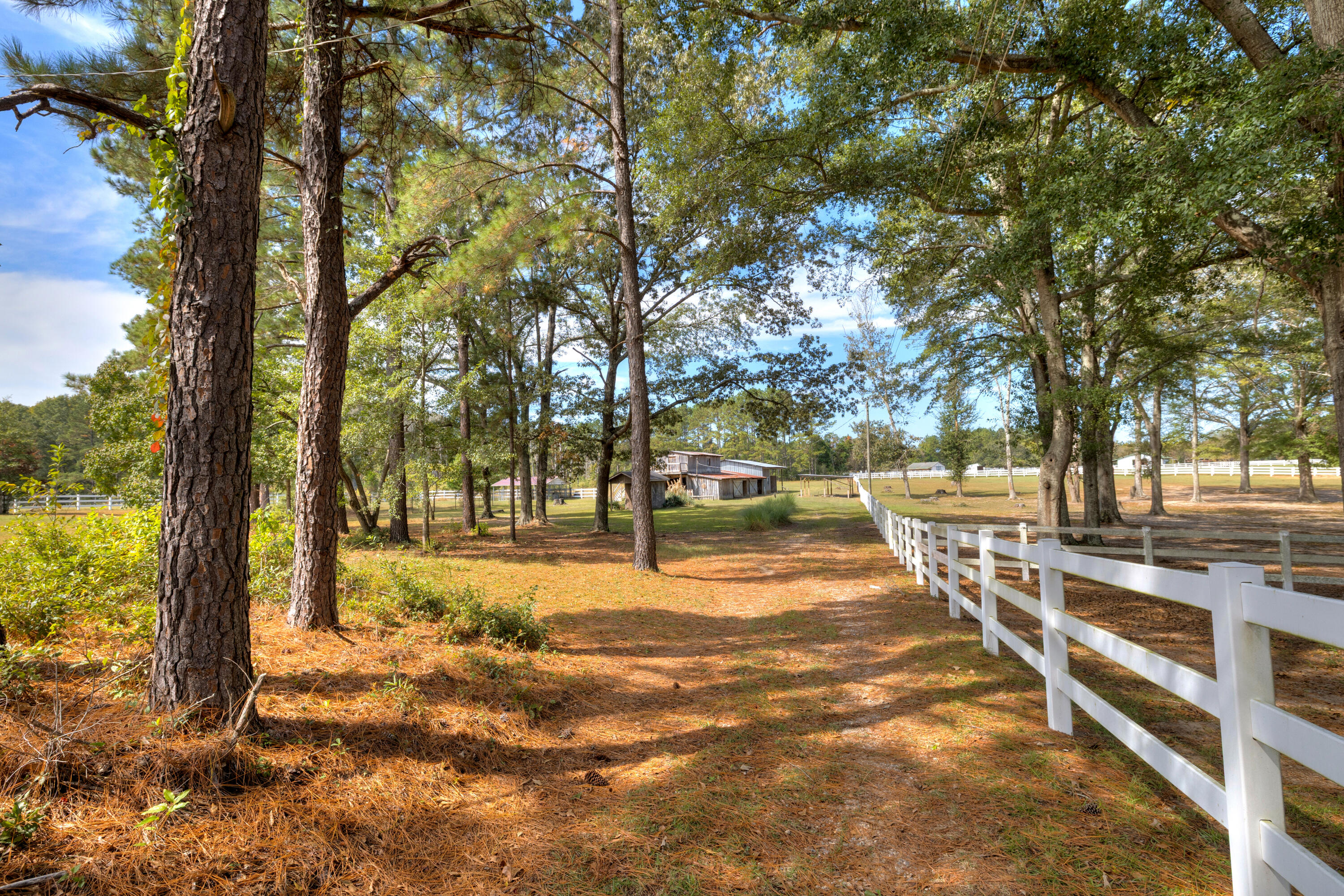 1210 Burnt Gin Road, Wedgefield