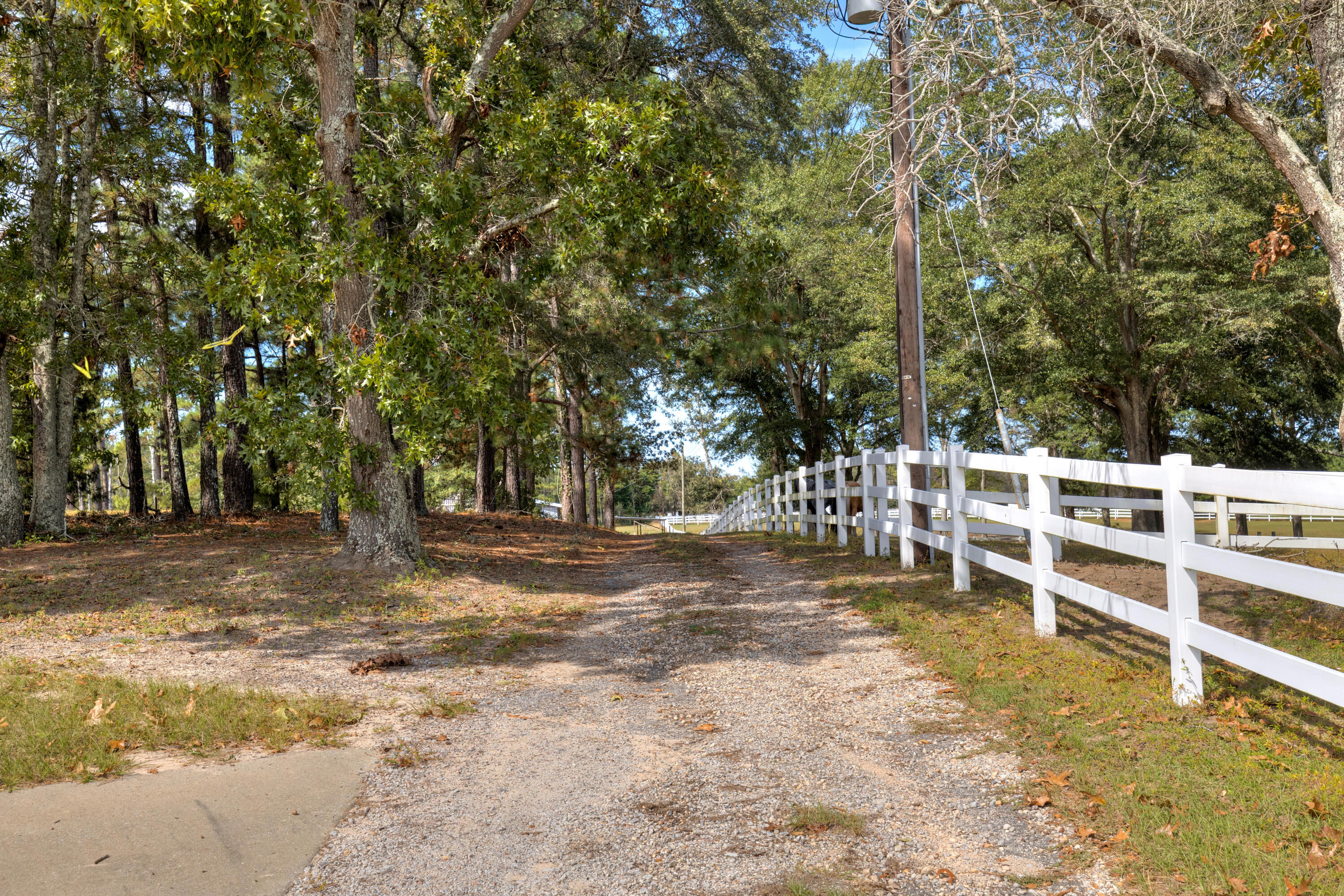 1210 Burnt Gin Road, Wedgefield