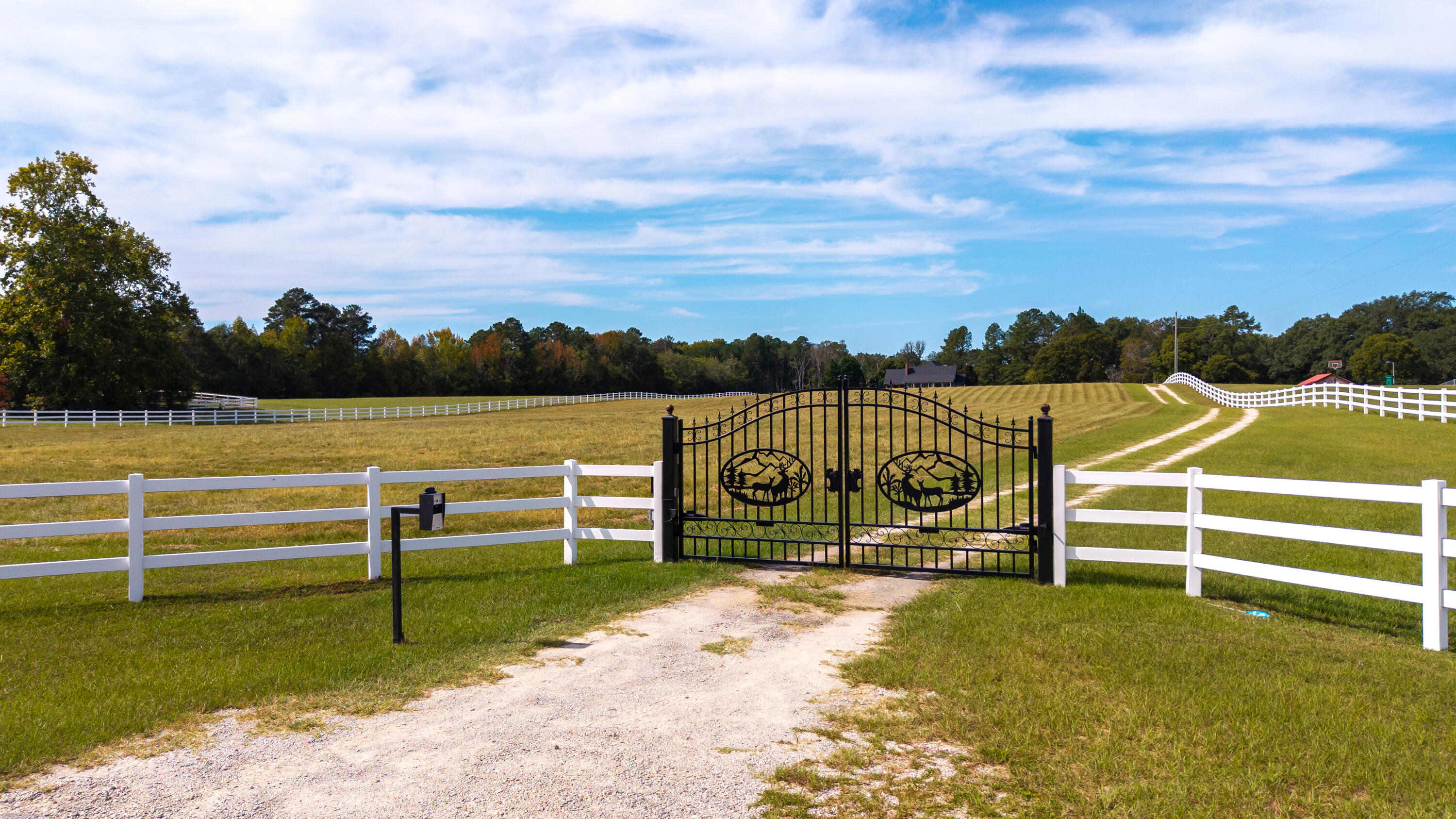 1210 Burnt Gin Road, Wedgefield