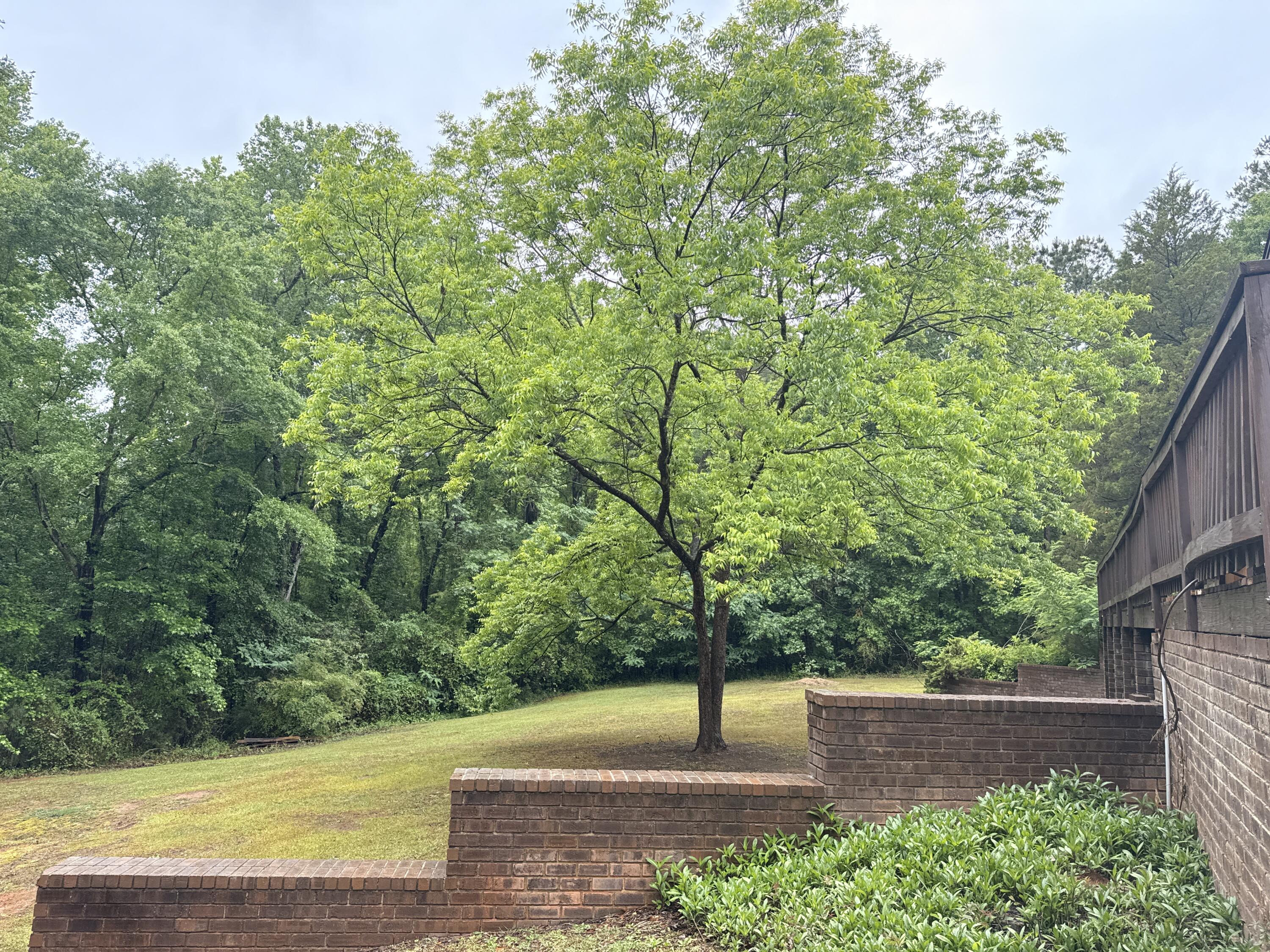 1843 Kolb Road