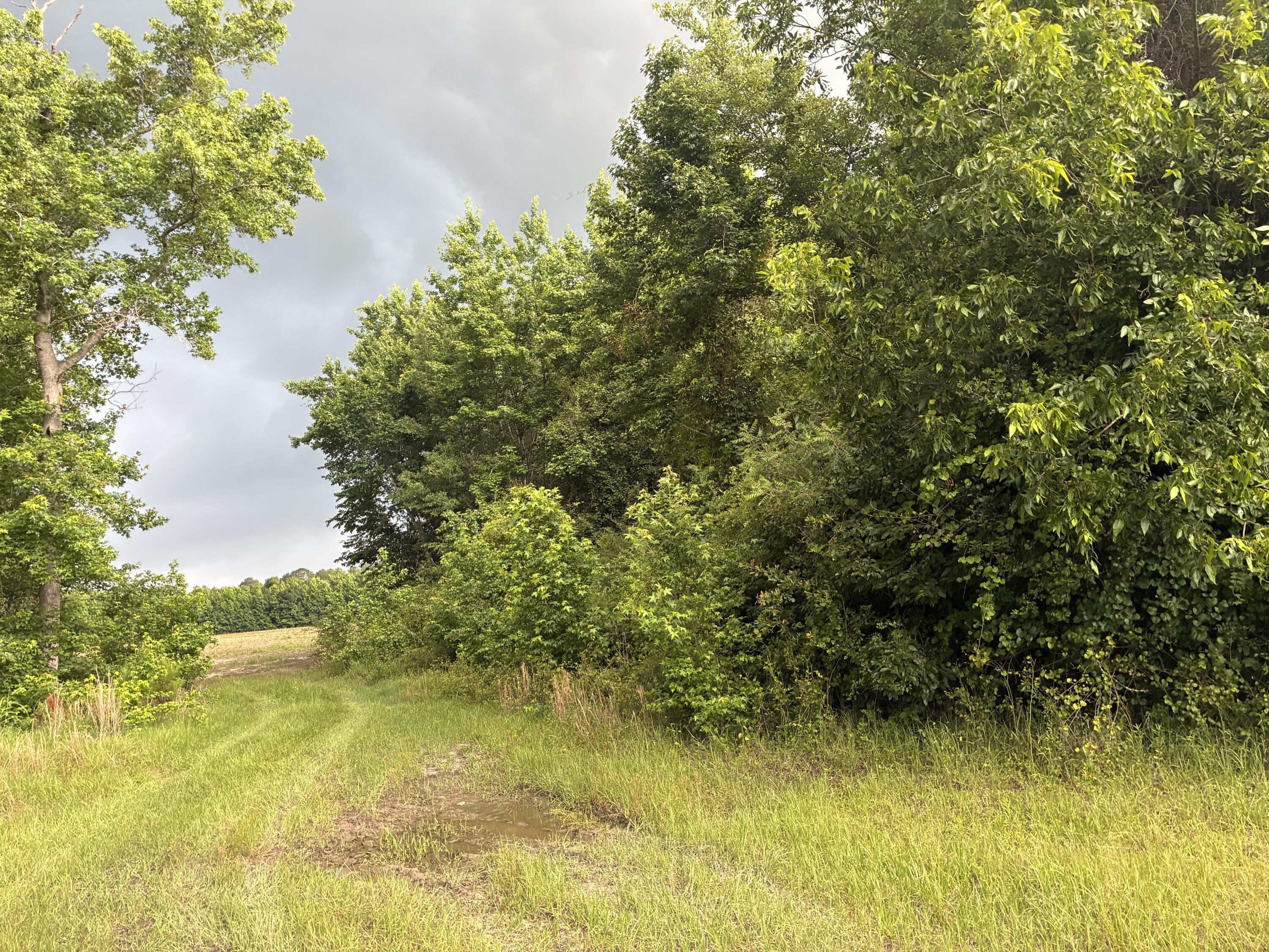 2227 Goward Road
