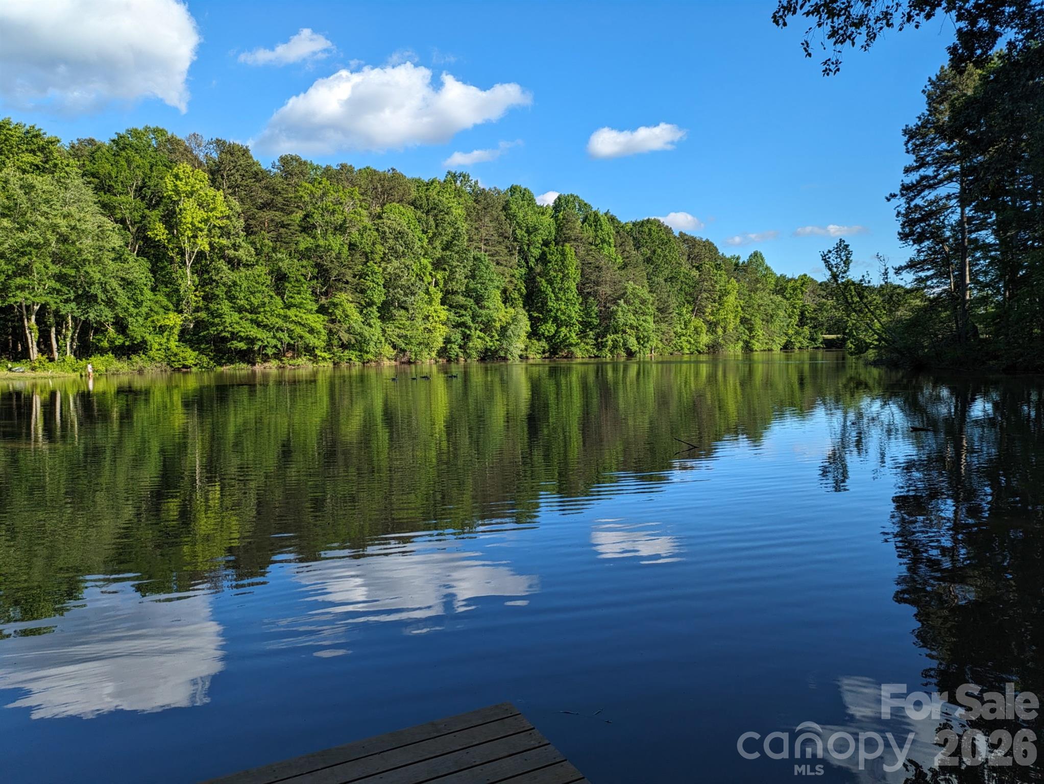 228 Creek View Road