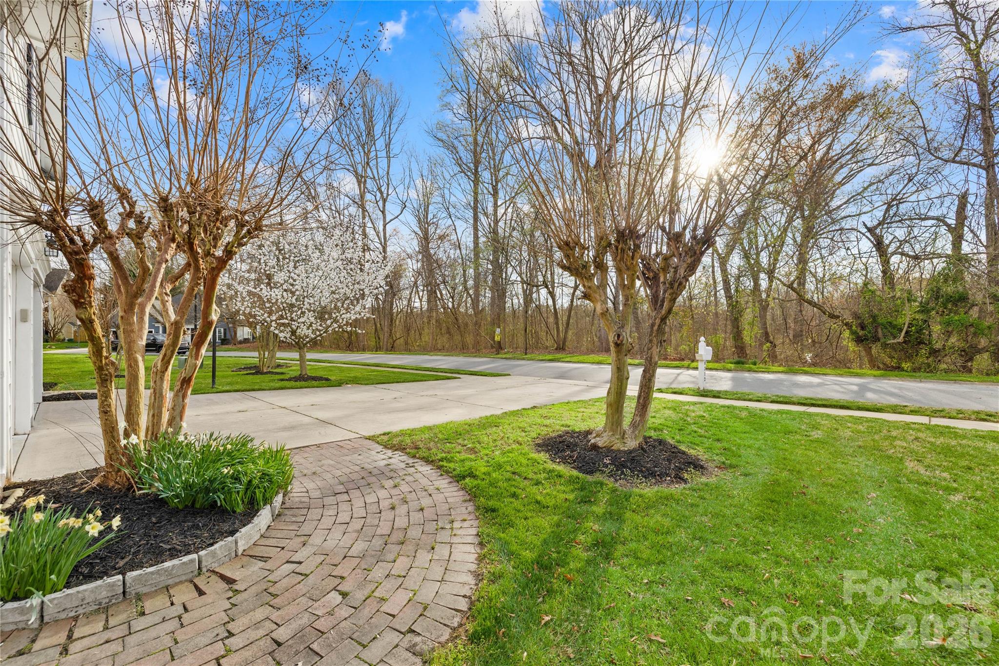 8312 Forest Shadow Circle