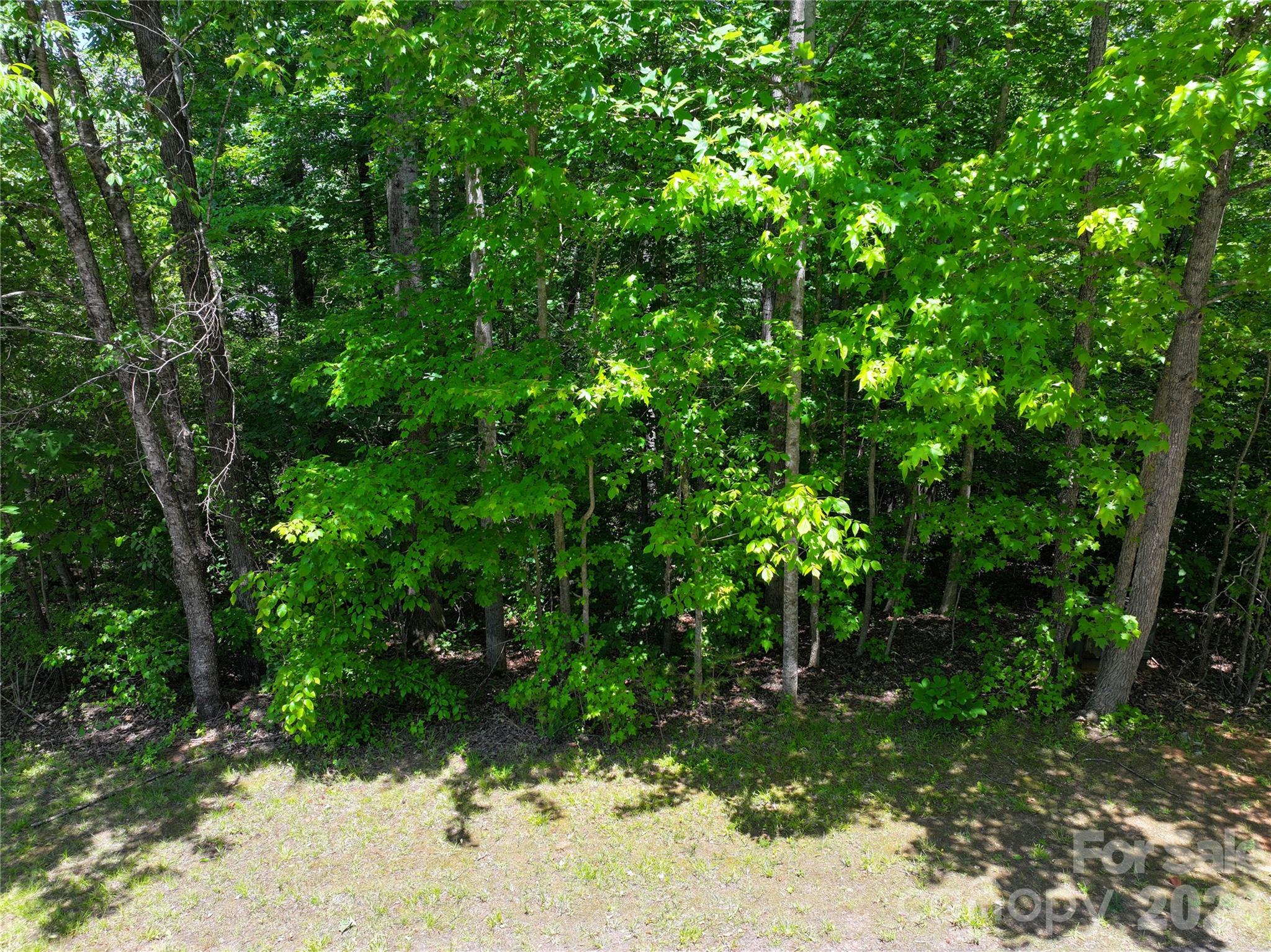 106 Kiowa Court