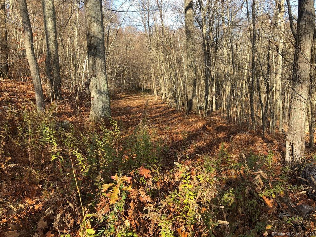 0 Bunker Hill Road