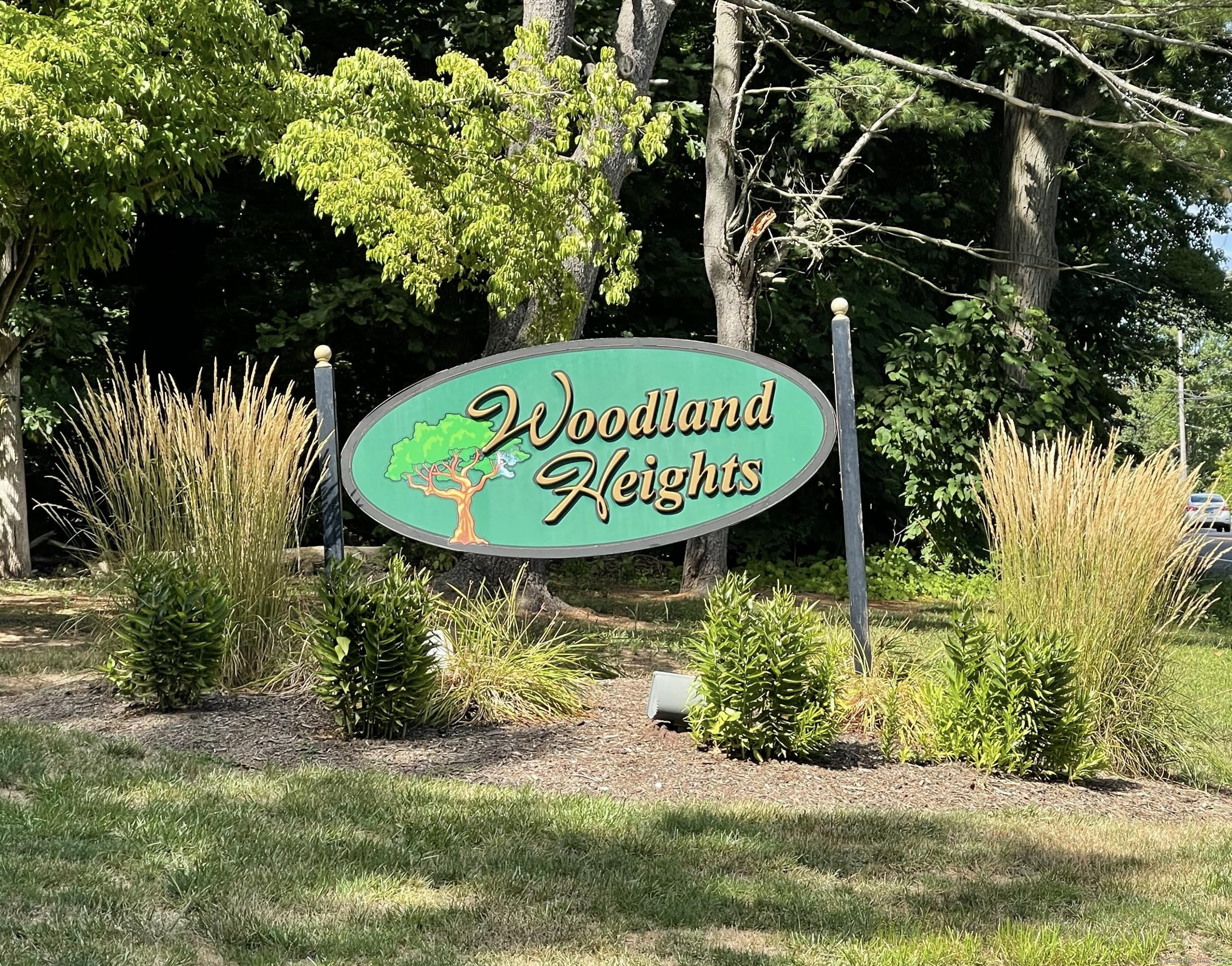 84 Woodland Drive 84