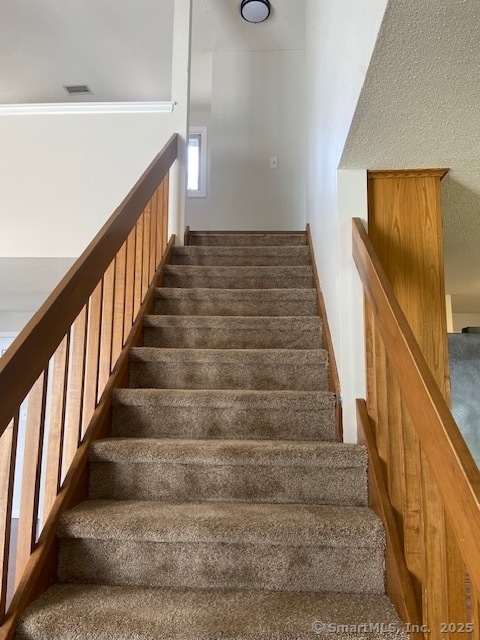 19 Arthur Drive 4