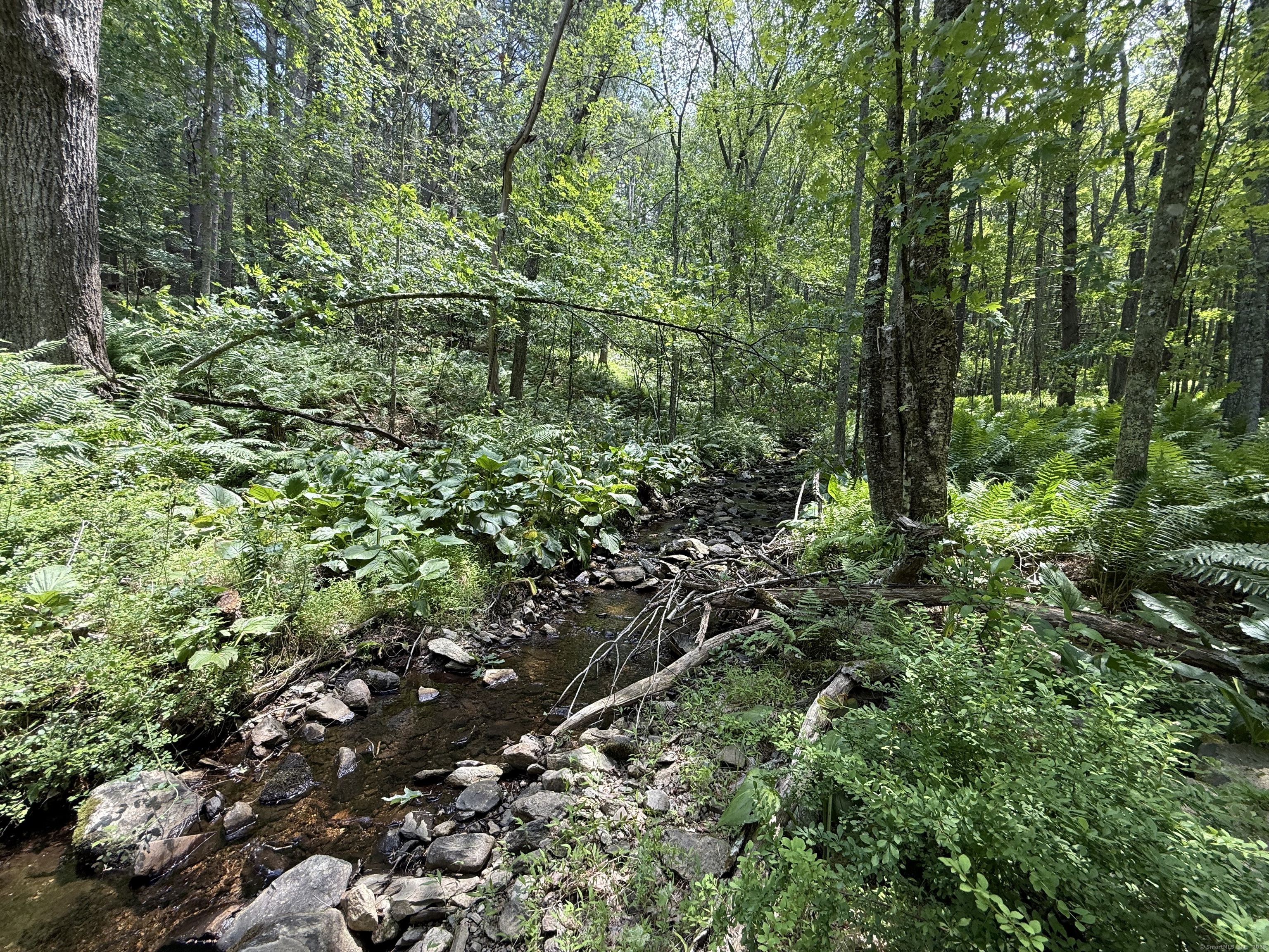 350 Breakneck Hill RD Road