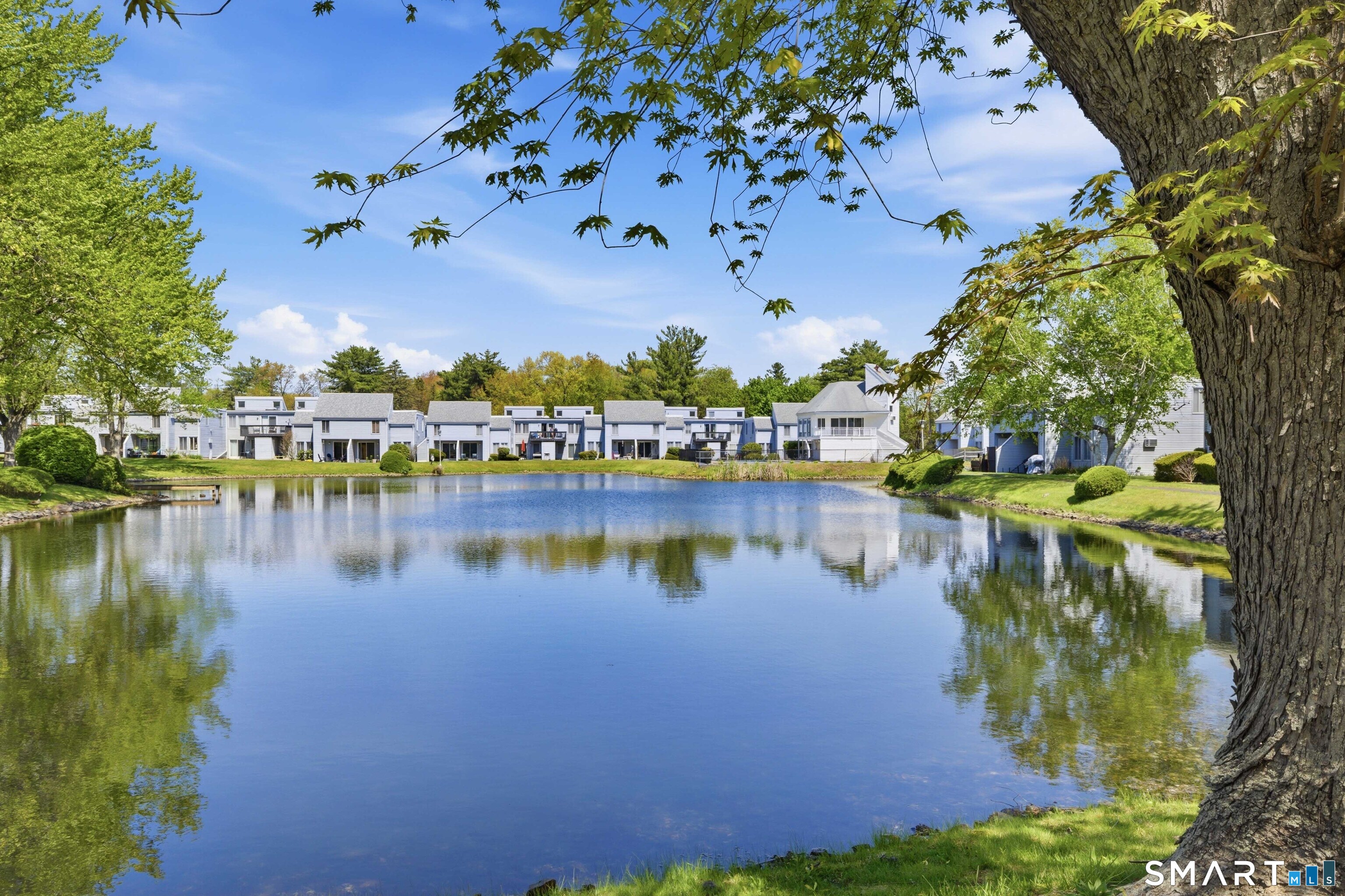 13 Cinnamon Springs 13