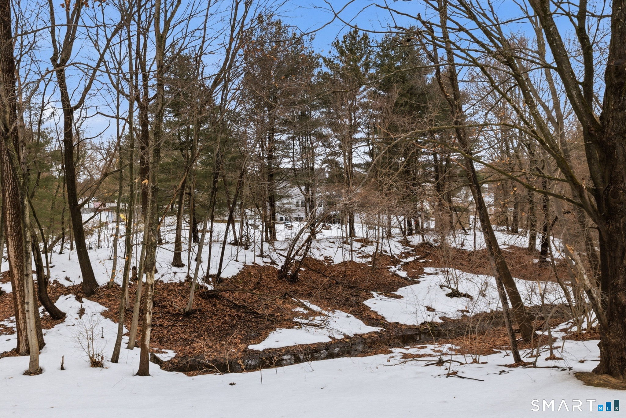 503 Mill Pond Drive 503