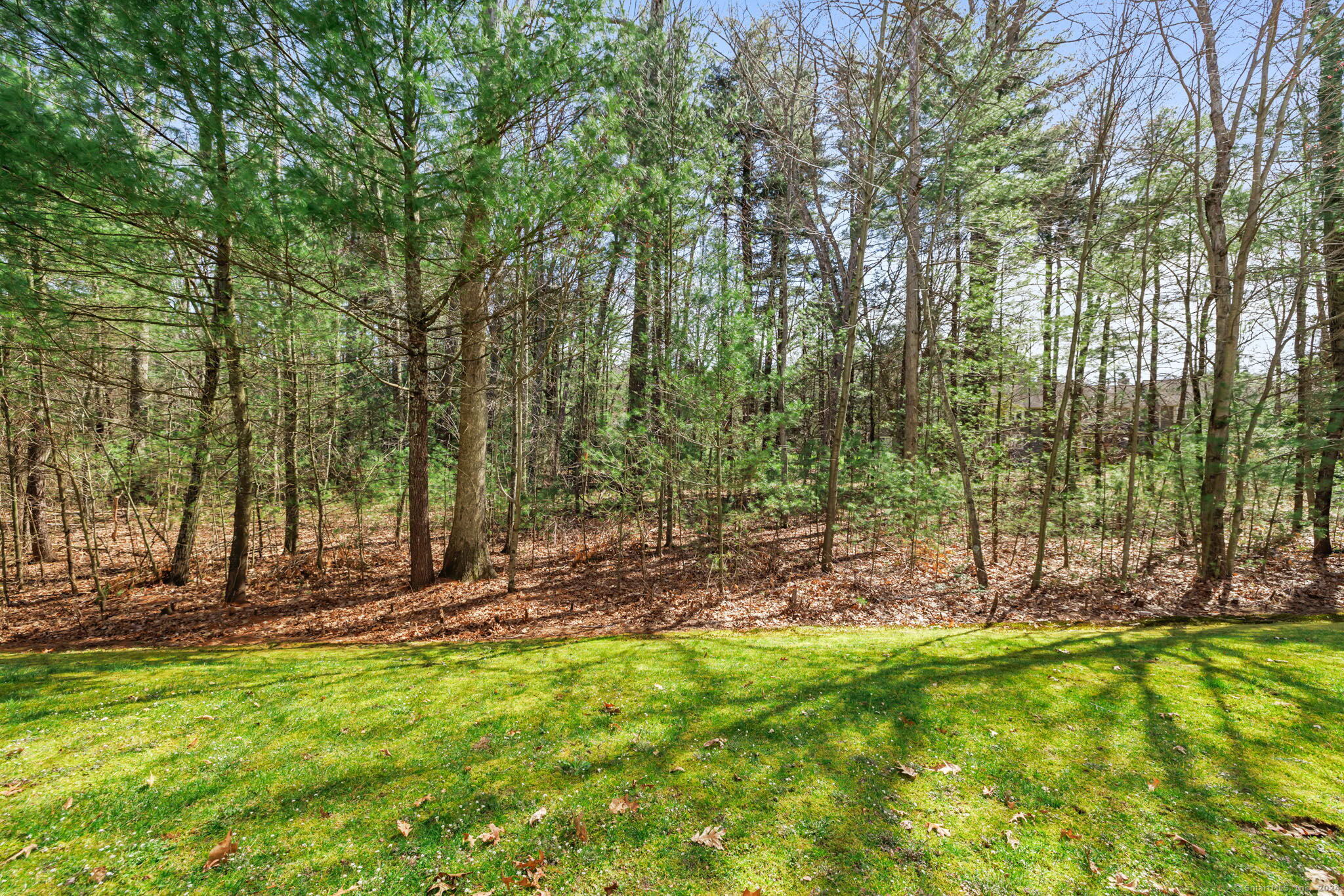 38 Brighton Park Way 38