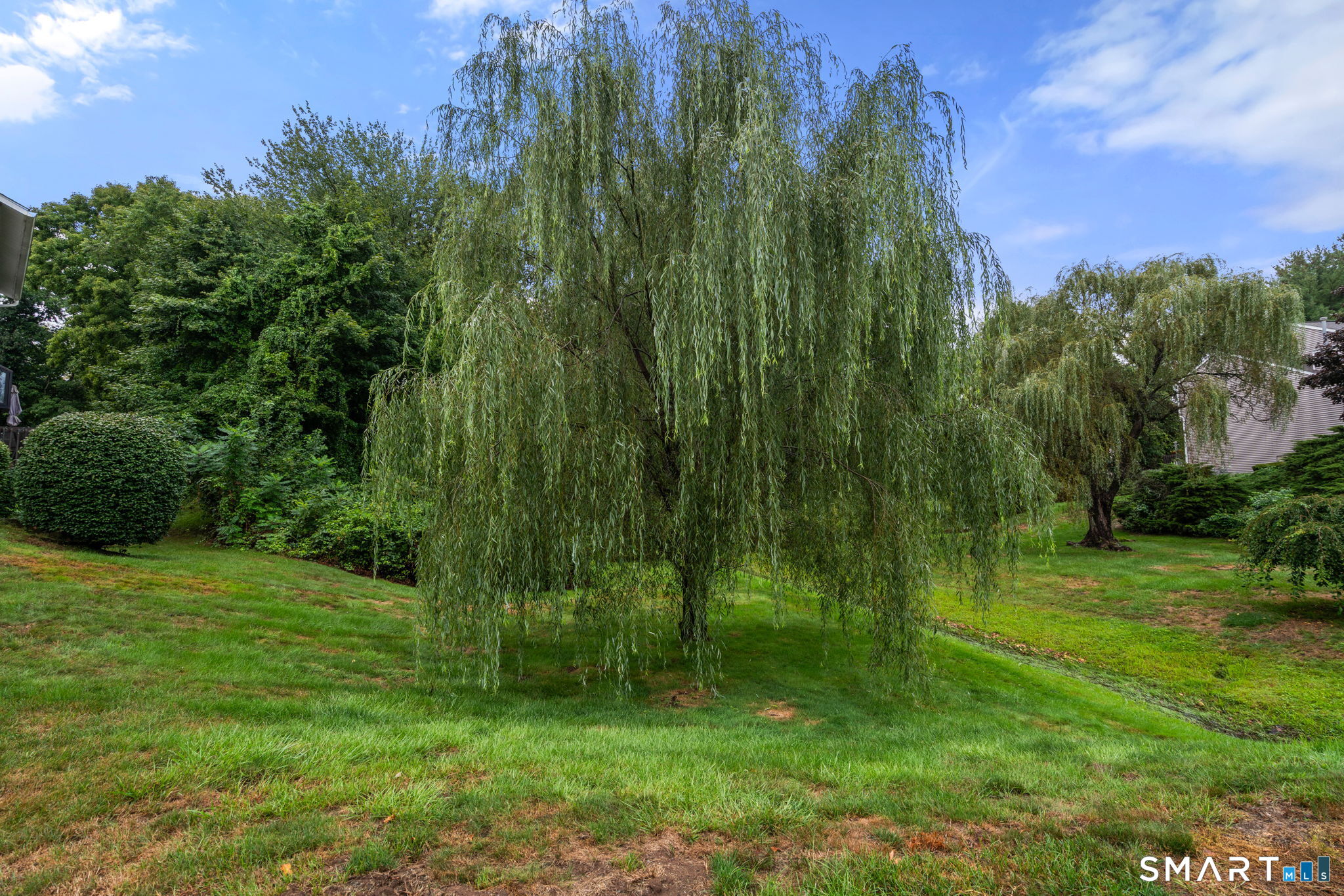 505 Mill Pond Drive Unit: 505