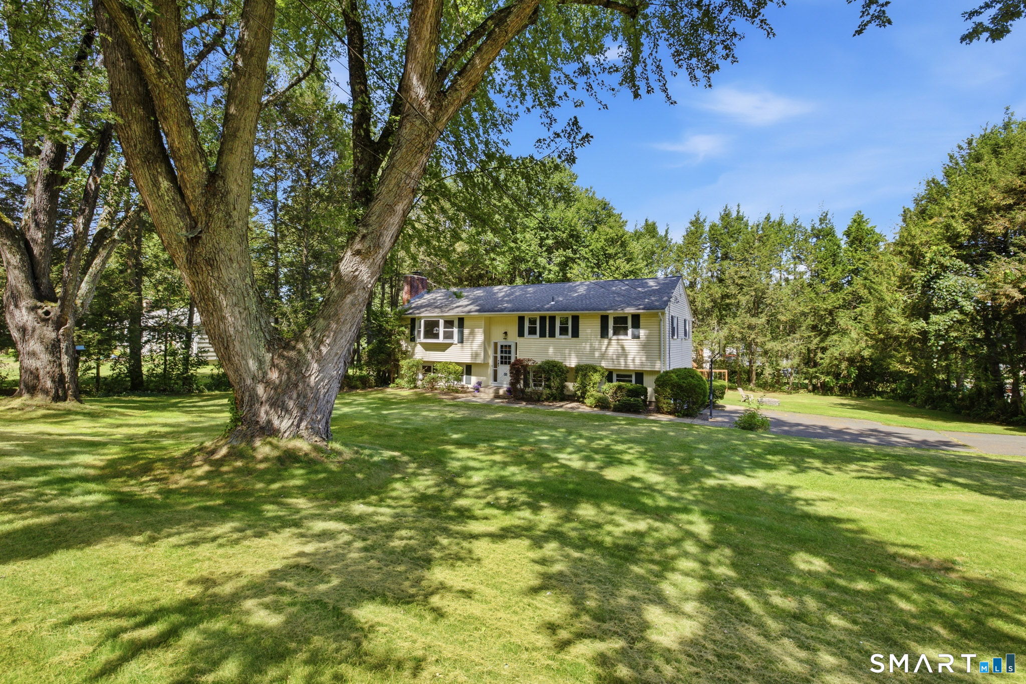 81 Warren Avenue