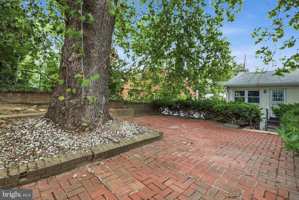 907 LURAY PLACE