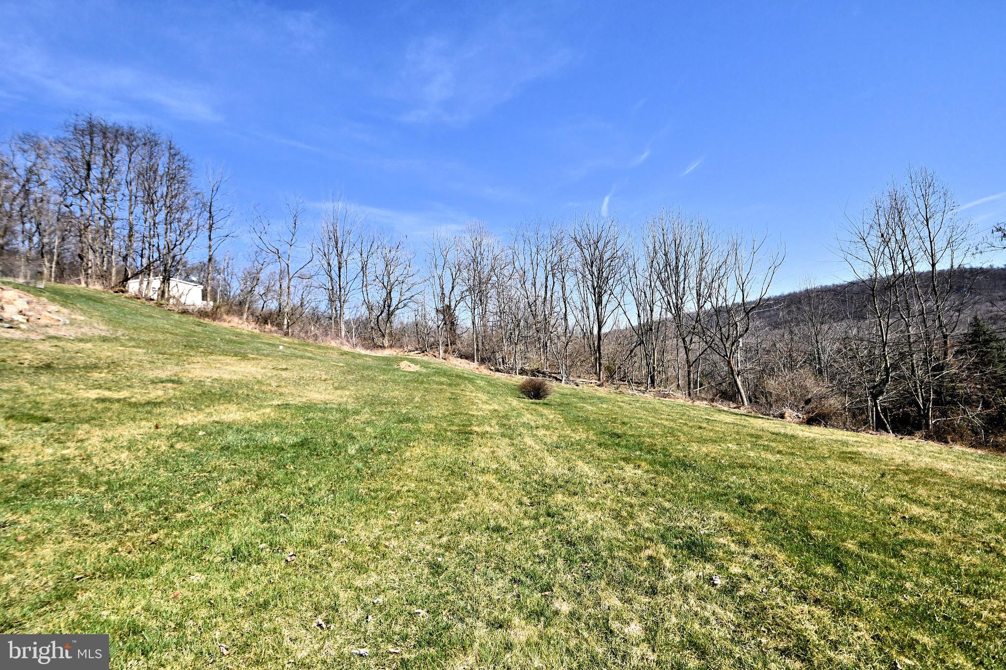 365 Oysterdale Rd