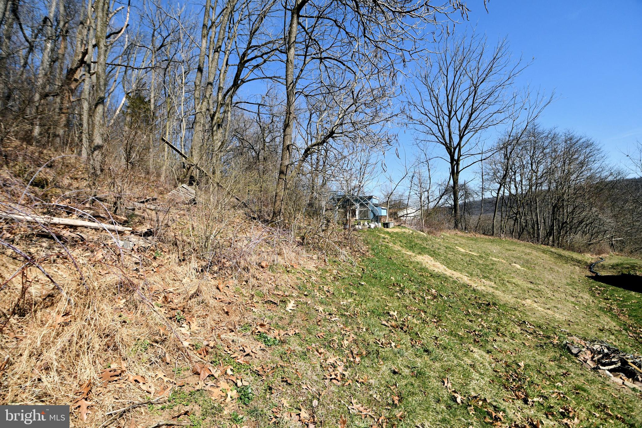 365 Oysterdale Rd
