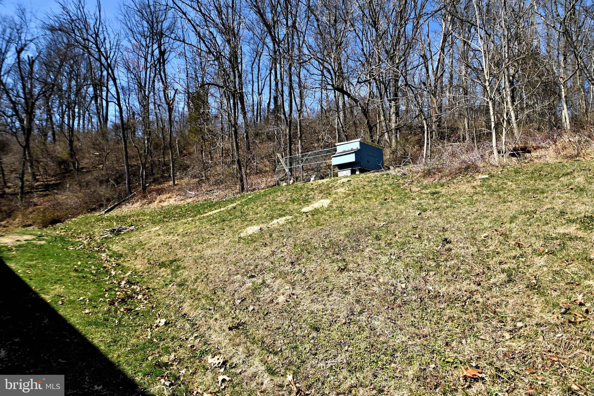 365 Oysterdale Rd