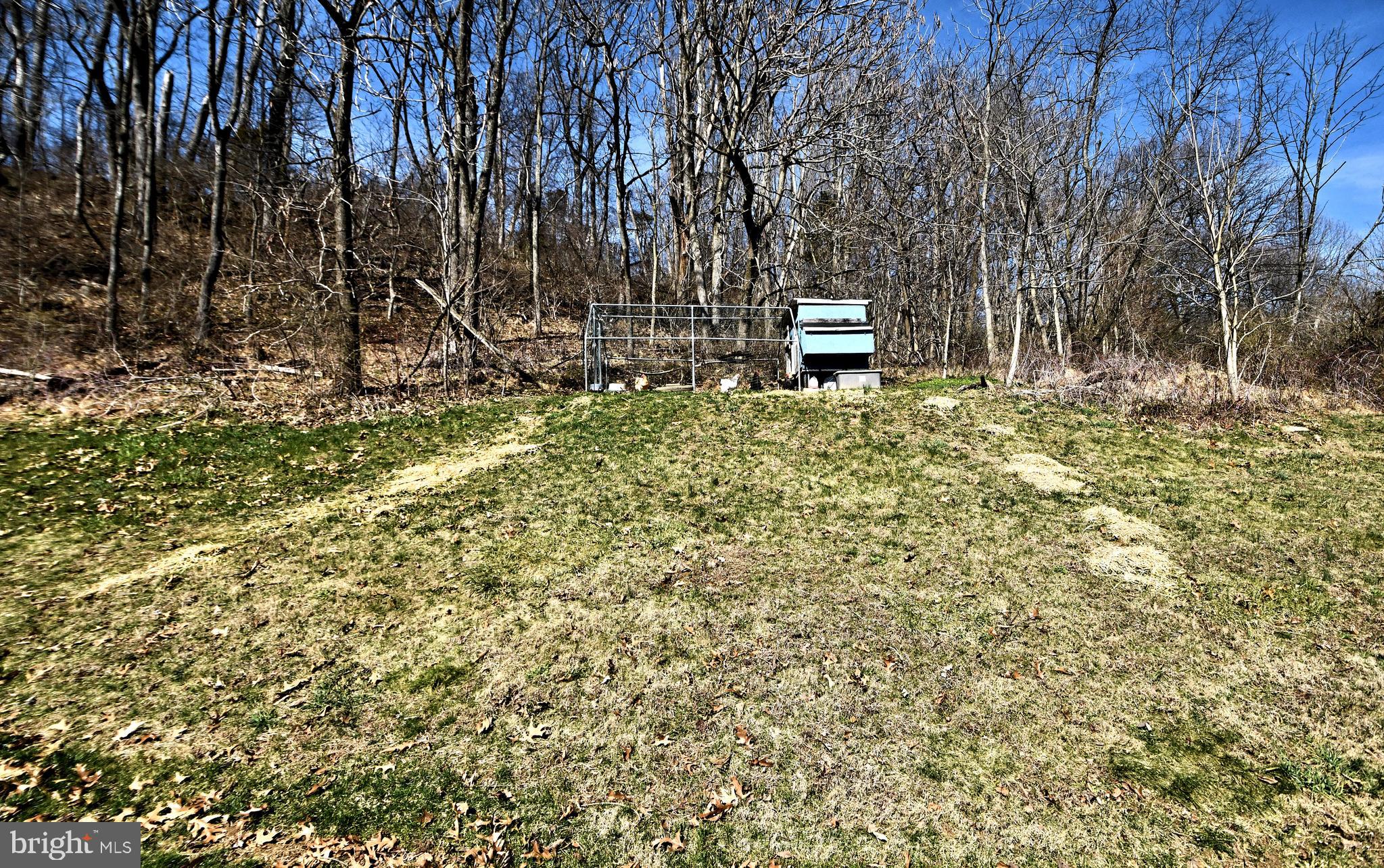 365 Oysterdale Rd