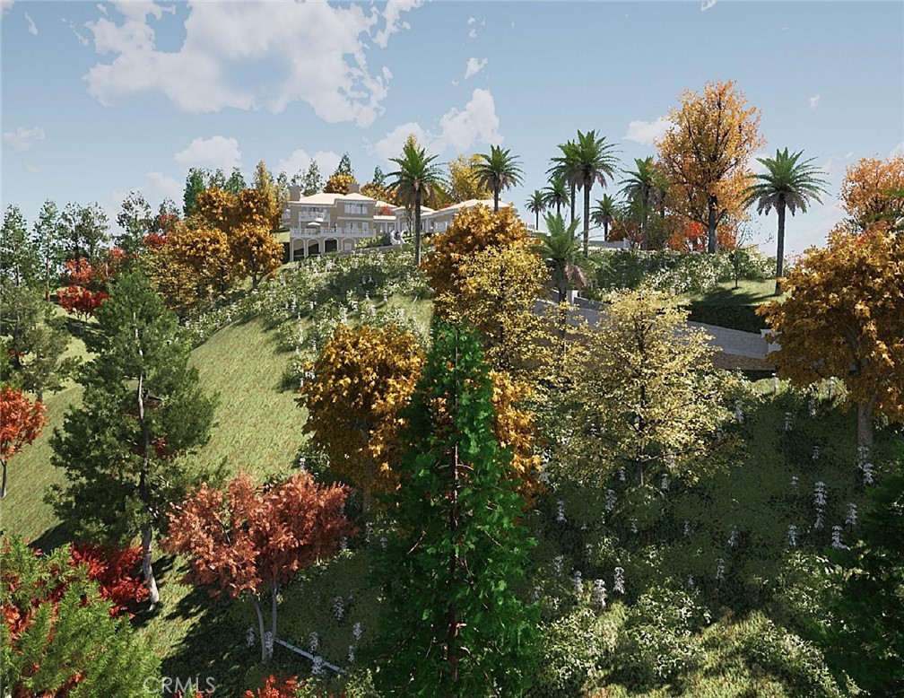 27802 Modjeska Grade Road