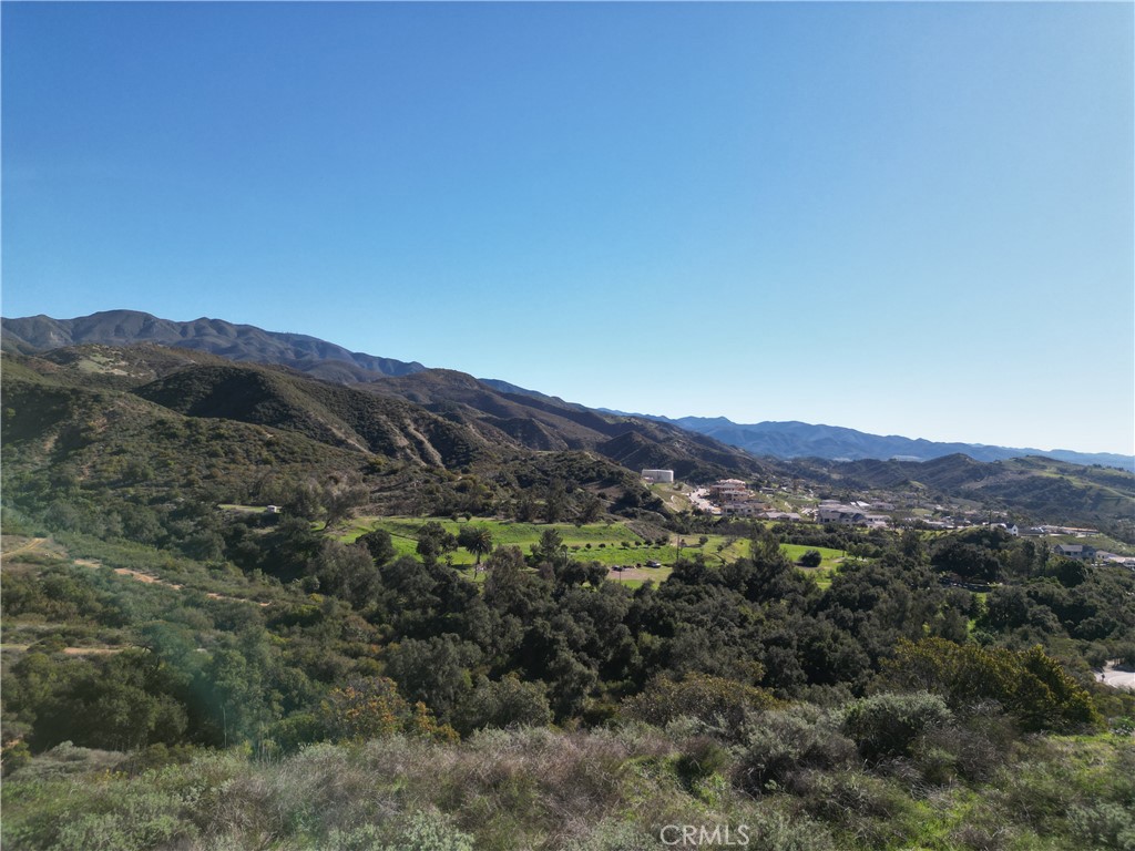 27802 Modjeska Grade Road