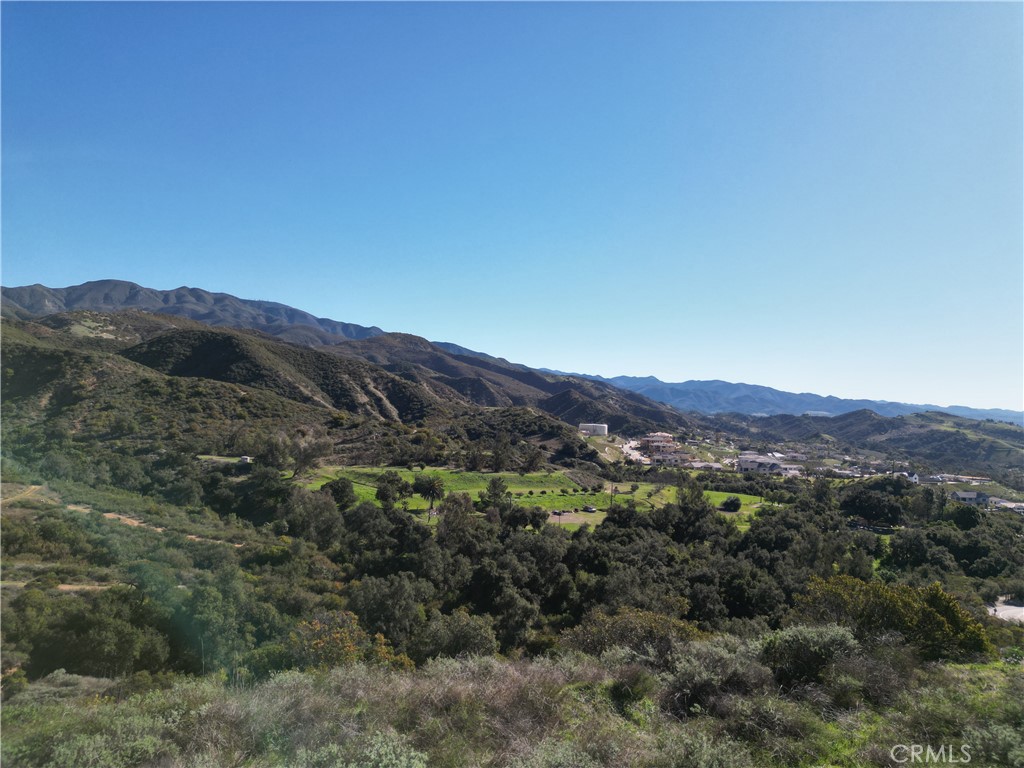 27802 Modjeska Grade Road