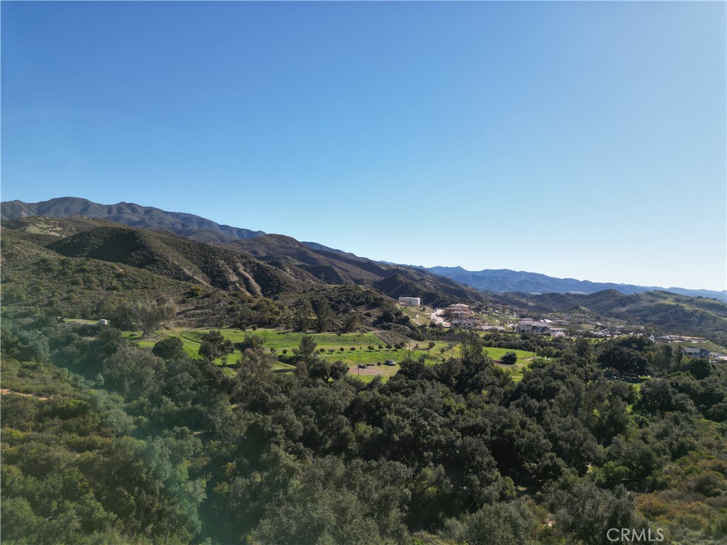 27802 Modjeska Grade Road