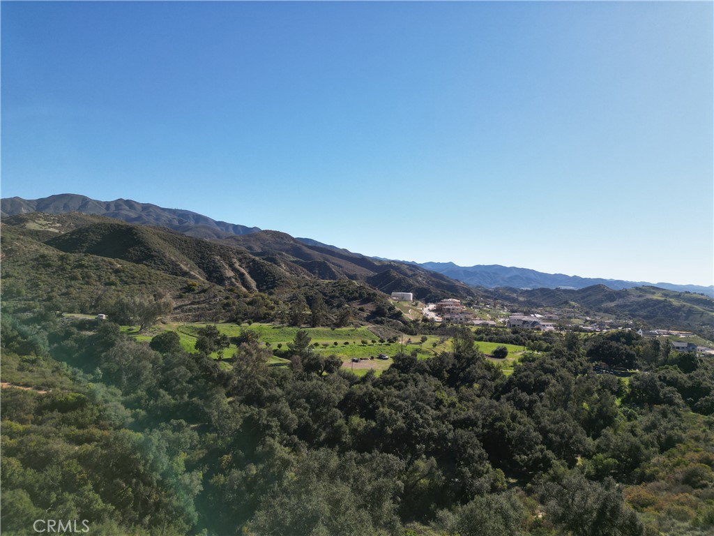 27802 Modjeska Grade Road
