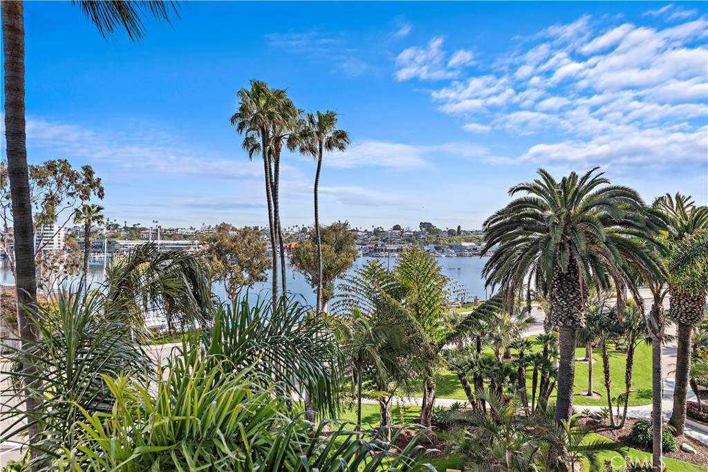 601 Lido Park Drive 3A