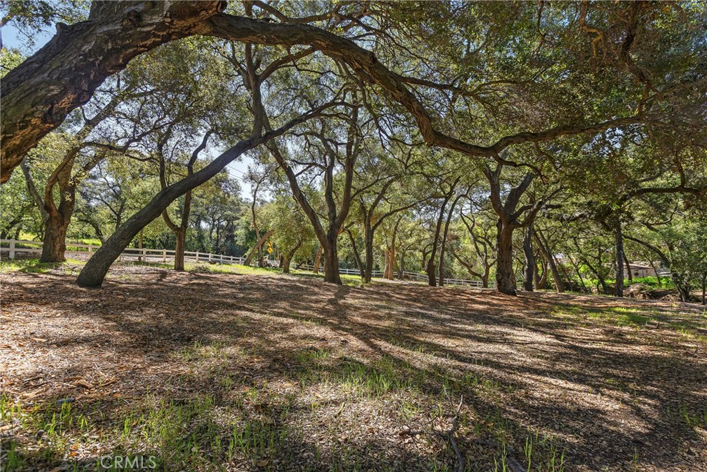 19411 Live Oak Canyon