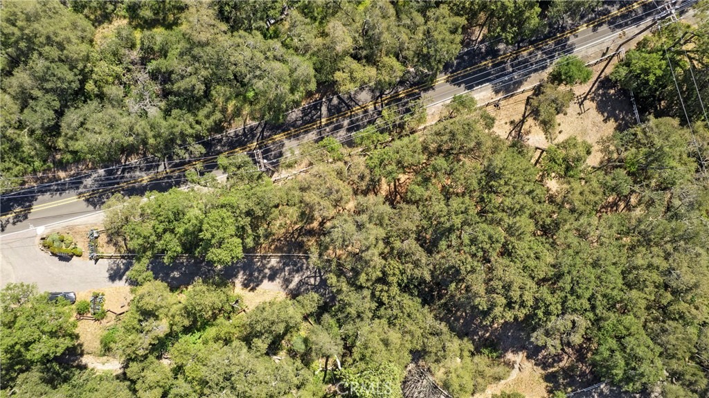 19411 Live Oak Canyon