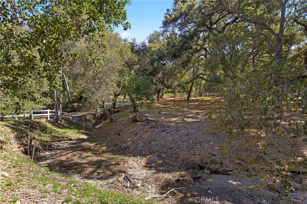 19411 Live Oak Canyon
