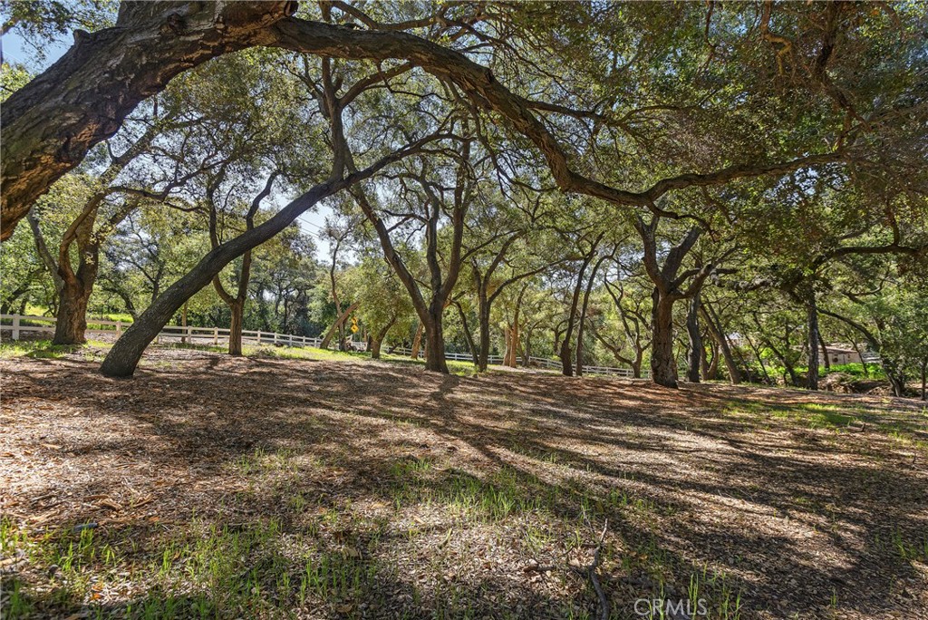 19411 Live Oak Canyon