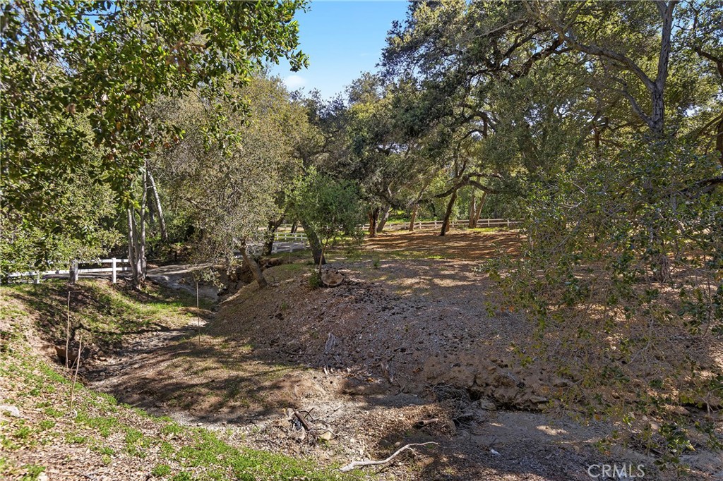 19411 Live Oak Canyon