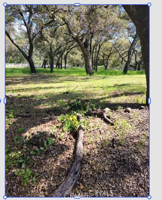 19411 Live Oak Canyon