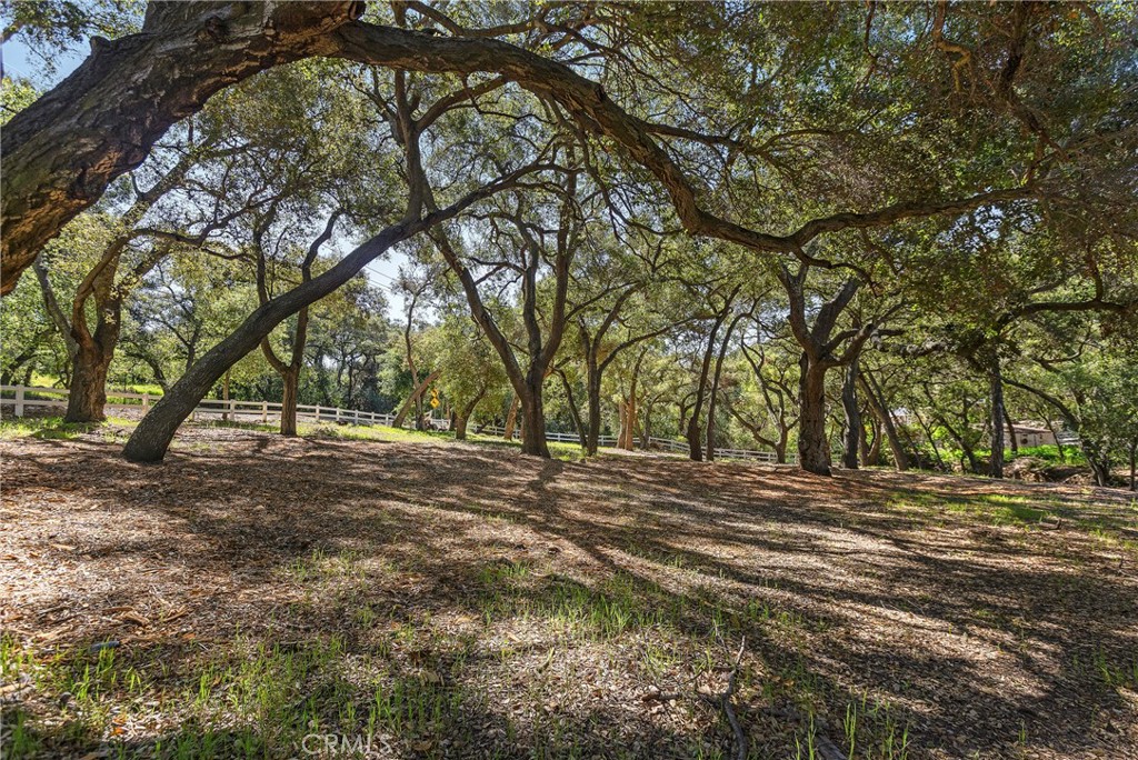 19411 Live Oak Canyon