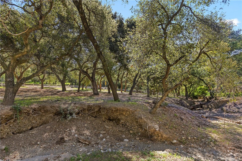 19411 Live Oak Canyon