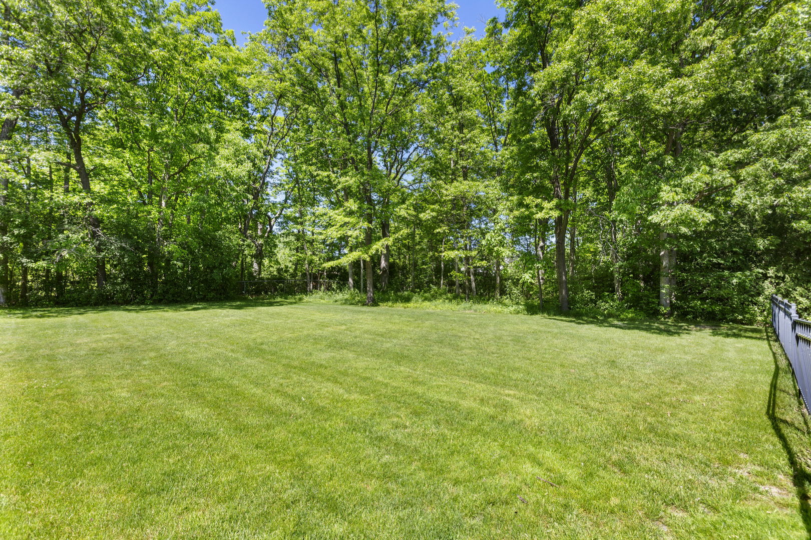 868 McCormick Drive