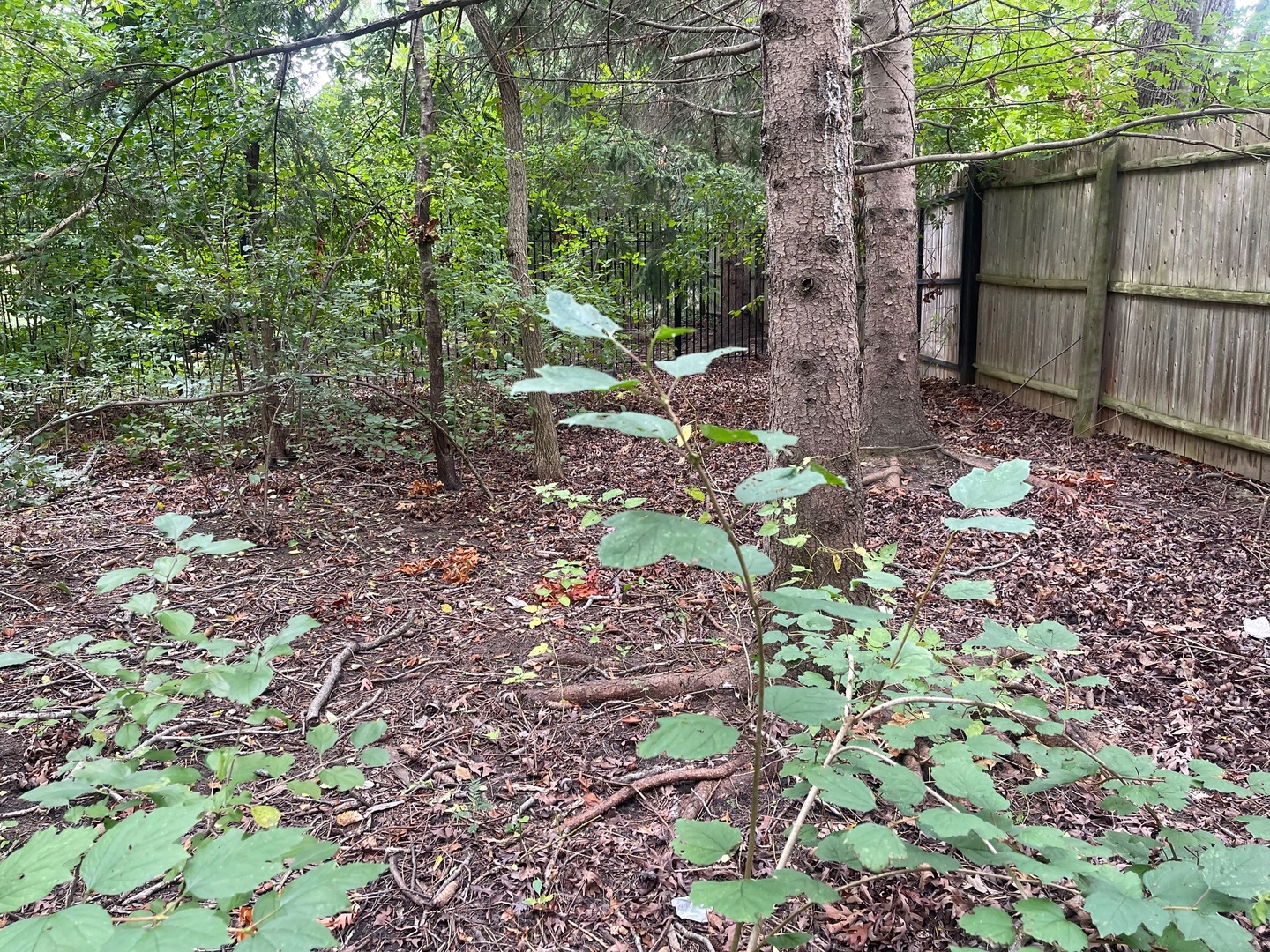 1351 N Sheridan Road