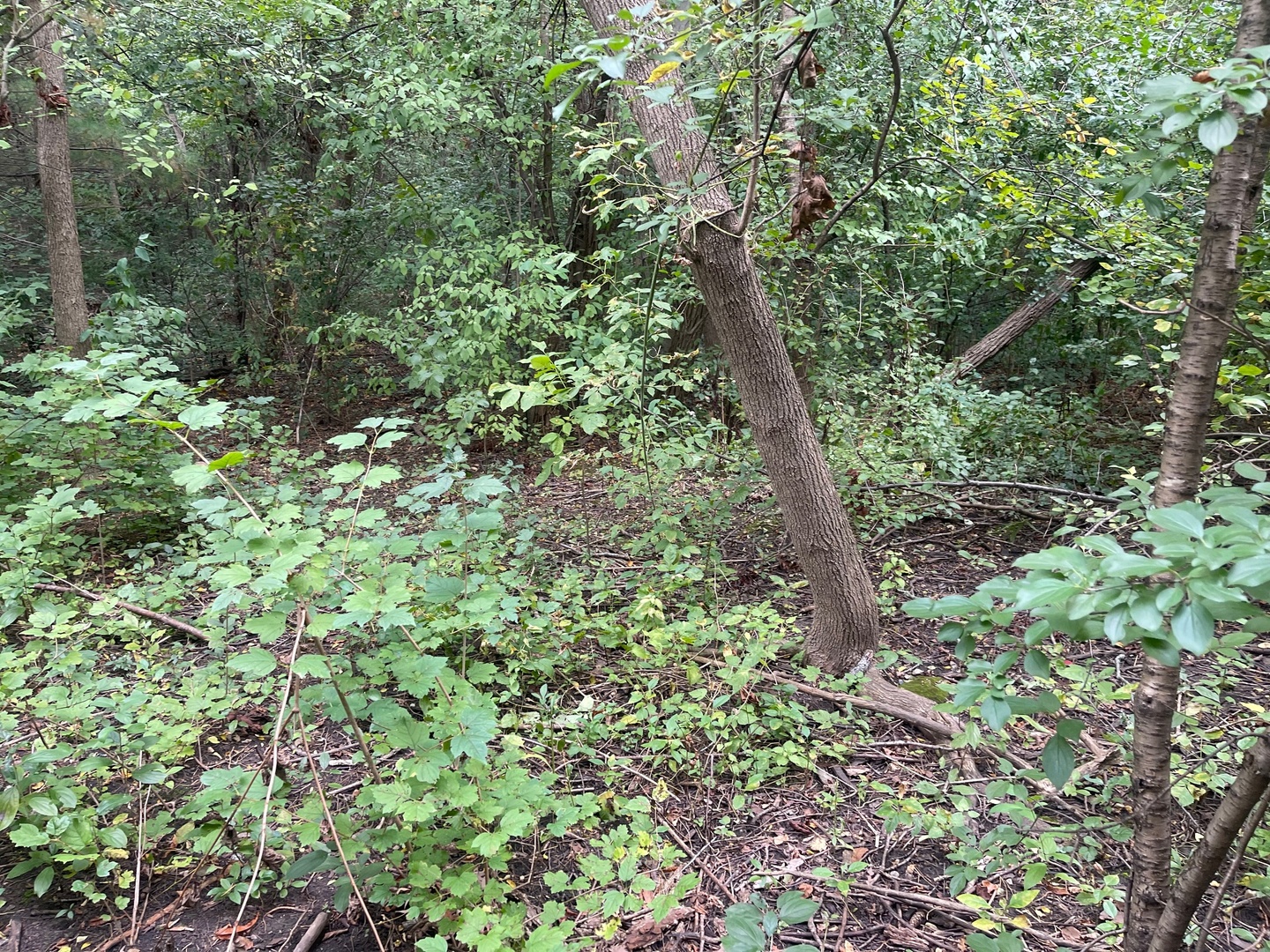 1351 N Sheridan Road