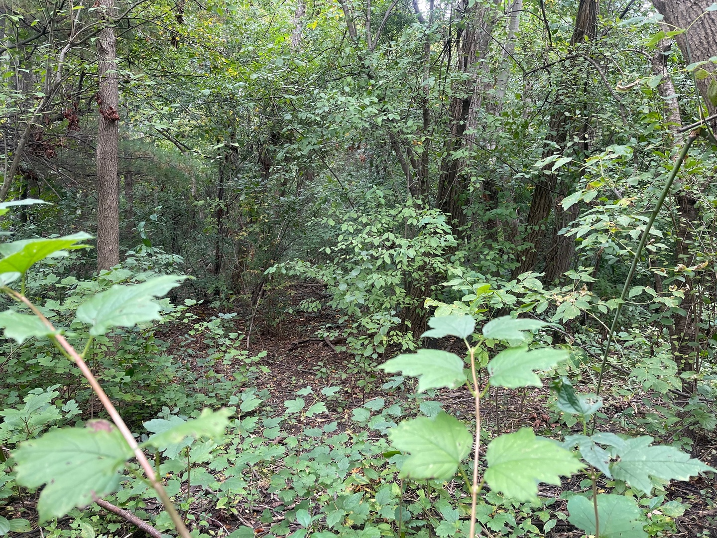 1351 N Sheridan Road